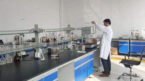 東營港經濟開發區 以企業技術改造為抓手，驅動產業轉型升級與技術開發新突破